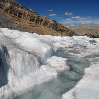 Jasper NP - Columbia gletsjer